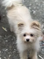 processed/24679721-4a8f-4bca-a701-c0322d2995a6/listing/9364d573-44cf-4ffa-879d-d688789d7272/8dbfce53-a20d-4201-aebc-01c0f4a9a590