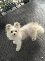 processed/24679721-4a8f-4bca-a701-c0322d2995a6/listing/9364d573-44cf-4ffa-879d-d688789d7272/917a6e88-6f23-414e-9b6d-d79a877a044b