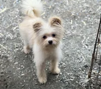 processed/24679721-4a8f-4bca-a701-c0322d2995a6/listing/9364d573-44cf-4ffa-879d-d688789d7272/d095ca37-3e30-49b1-a019-559b4f763b8f