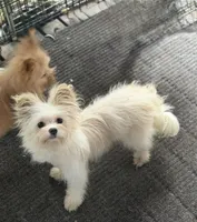 processed/24679721-4a8f-4bca-a701-c0322d2995a6/listing/9364d573-44cf-4ffa-879d-d688789d7272/dbf87829-dda1-41db-9987-e047f571daa3