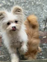 processed/24679721-4a8f-4bca-a701-c0322d2995a6/listing/9364d573-44cf-4ffa-879d-d688789d7272/e264e2be-53ad-4d59-b166-a35f83f0704c