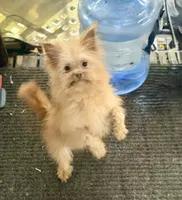 processed/24679721-4a8f-4bca-a701-c0322d2995a6/listing/b4799206-43cd-4694-bd99-e05db36804ba/309cc3ab-5014-4e6f-98d6-7dc306187212