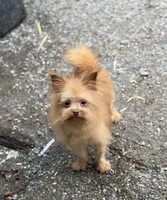 processed/24679721-4a8f-4bca-a701-c0322d2995a6/listing/b4799206-43cd-4694-bd99-e05db36804ba/6ff3dc6b-e91a-4d5f-9f8c-b22bc2a0f1ee