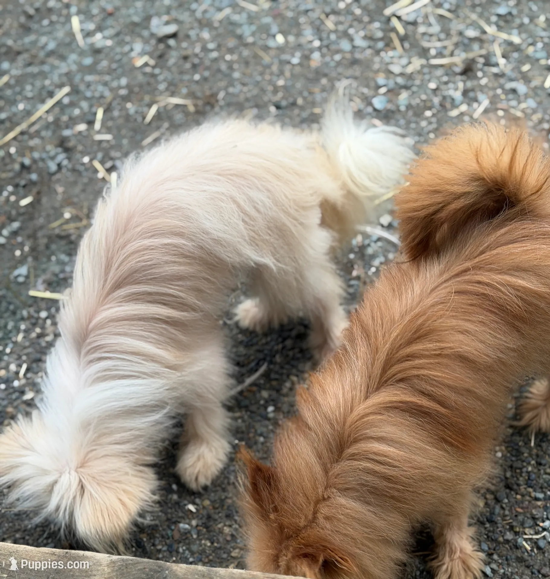 processed/24679721-4a8f-4bca-a701-c0322d2995a6/listing/b4799206-43cd-4694-bd99-e05db36804ba/965c54b0-b2de-414c-a288-ade1ec5e96bd