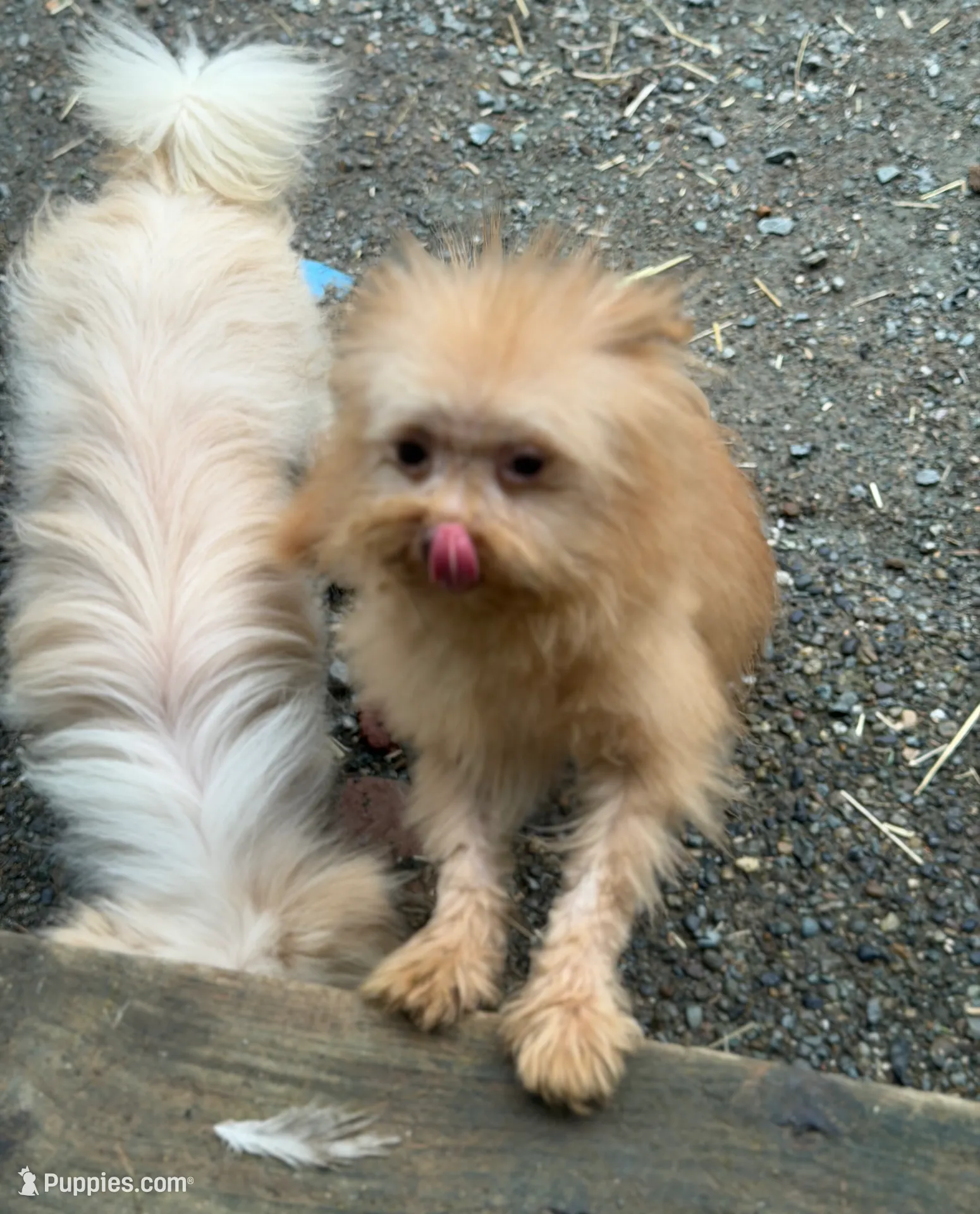 processed/24679721-4a8f-4bca-a701-c0322d2995a6/listing/b4799206-43cd-4694-bd99-e05db36804ba/e5a4ea1d-0032-4c19-a371-9b0664201815