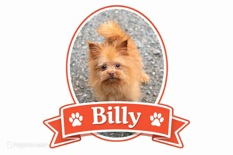 Billy