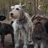 processed/246ee7d8-b604-4845-88d3-dca630bb8da7/facility/5d870179-cc50-4695-8101-031b082a4168