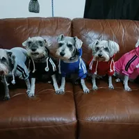 processed/246ee7d8-b604-4845-88d3-dca630bb8da7/facility/9c7dfce3-d83b-453b-94d8-95d8546f0a8d