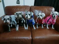 processed/246ee7d8-b604-4845-88d3-dca630bb8da7/facility/9c7dfce3-d83b-453b-94d8-95d8546f0a8d