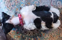 processed/246ee7d8-b604-4845-88d3-dca630bb8da7/listing/002ff795-15e4-405f-9d1b-58cee1661bbb/653b5521-f1f7-4907-a522-18fb220e8441