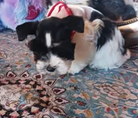 processed/246ee7d8-b604-4845-88d3-dca630bb8da7/listing/002ff795-15e4-405f-9d1b-58cee1661bbb/8792f1fd-ce18-415d-8f70-283c358f2789