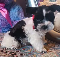 processed/246ee7d8-b604-4845-88d3-dca630bb8da7/listing/002ff795-15e4-405f-9d1b-58cee1661bbb/95ba12b3-d7d9-4b1e-8c7c-01088530230f