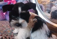 processed/246ee7d8-b604-4845-88d3-dca630bb8da7/listing/002ff795-15e4-405f-9d1b-58cee1661bbb/ac0a0a0d-7435-488f-ac50-534e3dc03eed