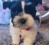 processed/246ee7d8-b604-4845-88d3-dca630bb8da7/listing/002ff795-15e4-405f-9d1b-58cee1661bbb/efd7f384-be03-486c-8fc9-c3bfc8160563