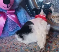 processed/246ee7d8-b604-4845-88d3-dca630bb8da7/listing/002ff795-15e4-405f-9d1b-58cee1661bbb/f15e05bb-afbd-4709-bf07-21c19c65a255