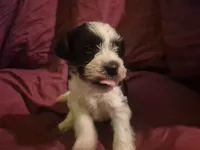 processed/246ee7d8-b604-4845-88d3-dca630bb8da7/listing/056b1fea-1dad-4697-b11c-081f84a3f239/192990b9-d6a5-4865-bb7b-660a117bb33a