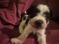 processed/246ee7d8-b604-4845-88d3-dca630bb8da7/listing/056b1fea-1dad-4697-b11c-081f84a3f239/4d66dbee-621d-4d1c-94d1-e1359248fcf5