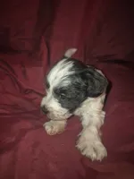 processed/246ee7d8-b604-4845-88d3-dca630bb8da7/listing/056b1fea-1dad-4697-b11c-081f84a3f239/ffbfc947-5934-4ecf-bbfe-d63a89d74a63