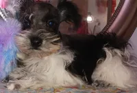 processed/246ee7d8-b604-4845-88d3-dca630bb8da7/listing/0af497c6-b9b9-4ea9-8fb9-af67f201b23e/4b9b4874-c6f8-4060-b056-66c0c4faf53f