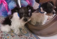 processed/246ee7d8-b604-4845-88d3-dca630bb8da7/listing/0af497c6-b9b9-4ea9-8fb9-af67f201b23e/922edcc0-74a6-46eb-b1af-7aae0464ff8f