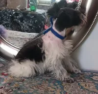 processed/246ee7d8-b604-4845-88d3-dca630bb8da7/listing/0af497c6-b9b9-4ea9-8fb9-af67f201b23e/ddbaecb3-5fc0-4468-b3c2-e6ab2eb1c686