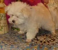 processed/246ee7d8-b604-4845-88d3-dca630bb8da7/listing/147714e9-0e70-4fbf-87dc-8a943b5fae3f/a0db208b-e7c8-4e0d-be51-e213b541dce2