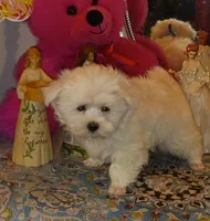 processed/246ee7d8-b604-4845-88d3-dca630bb8da7/listing/147714e9-0e70-4fbf-87dc-8a943b5fae3f/d3ffdce9-d8a7-4099-ba72-099c23fba580