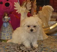 processed/246ee7d8-b604-4845-88d3-dca630bb8da7/listing/4fef4fa1-ea31-4f02-822d-ac211934fad0/41fb577e-2462-4dc2-b134-2bc1f60d331a