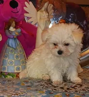 processed/246ee7d8-b604-4845-88d3-dca630bb8da7/listing/4fef4fa1-ea31-4f02-822d-ac211934fad0/46414a1f-ac88-43a0-9a63-6c8455f884de