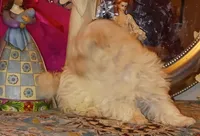 processed/246ee7d8-b604-4845-88d3-dca630bb8da7/listing/4fef4fa1-ea31-4f02-822d-ac211934fad0/82dead90-a5f7-4abe-b3d1-58907f674ba7