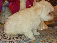 processed/246ee7d8-b604-4845-88d3-dca630bb8da7/listing/4fef4fa1-ea31-4f02-822d-ac211934fad0/9b60654a-65d0-42e2-8ff8-7d5f288b2b84