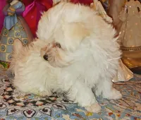 processed/246ee7d8-b604-4845-88d3-dca630bb8da7/listing/4fef4fa1-ea31-4f02-822d-ac211934fad0/f8c75ff3-b7ae-43c7-b210-5d680331a9b0