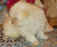 processed/246ee7d8-b604-4845-88d3-dca630bb8da7/listing/4fef4fa1-ea31-4f02-822d-ac211934fad0/fcd782af-aa06-40ac-9d9a-d19ab17bf240