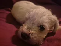 processed/246ee7d8-b604-4845-88d3-dca630bb8da7/listing/70ecdde7-1ea0-4dbb-ba6a-35f41b1ee706/01de6bda-1494-479d-b4e5-e6499b262d1a