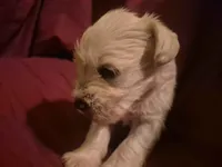 processed/246ee7d8-b604-4845-88d3-dca630bb8da7/listing/70ecdde7-1ea0-4dbb-ba6a-35f41b1ee706/79304686-fe08-4f32-988d-6515183dd95a