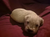 processed/246ee7d8-b604-4845-88d3-dca630bb8da7/listing/70ecdde7-1ea0-4dbb-ba6a-35f41b1ee706/eb7b0df4-a2d2-4a42-af16-55fbbe8e2e03