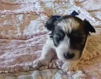 processed/246ee7d8-b604-4845-88d3-dca630bb8da7/listing/9f3ed600-1dd2-411c-94fd-cf4341011907/000da798-cb1d-4224-8fcf-4f5f1d95be82