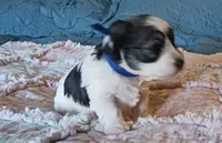 processed/246ee7d8-b604-4845-88d3-dca630bb8da7/listing/9f3ed600-1dd2-411c-94fd-cf4341011907/555180d4-c503-4bf4-9c81-d1b6d80bcc23