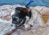 processed/246ee7d8-b604-4845-88d3-dca630bb8da7/listing/9f3ed600-1dd2-411c-94fd-cf4341011907/73bb8660-2845-4bf3-abd5-a08cbb7e889e