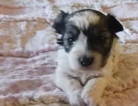 processed/246ee7d8-b604-4845-88d3-dca630bb8da7/listing/9f3ed600-1dd2-411c-94fd-cf4341011907/8bf65b2d-2d26-47a3-99ed-0fa6b1c43df1