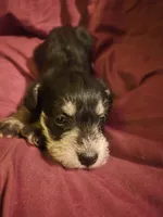 processed/246ee7d8-b604-4845-88d3-dca630bb8da7/listing/cde563c6-ad21-4bb1-bd89-cb4f30760d0b/bf7345cf-7336-4ccb-b05c-2f8bf239fd90