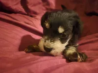 processed/246ee7d8-b604-4845-88d3-dca630bb8da7/listing/cde563c6-ad21-4bb1-bd89-cb4f30760d0b/d8b7a5c3-b4cb-402d-8b50-d4097dffa250