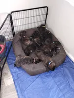 processed/2474895d-5cc5-4e2b-91af-97ff9238bdaf/listing/3ee9e060-812d-4d42-bb65-9534d04a8eac/17fe5c34-b5ad-4892-9460-c6f25232664b