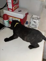 processed/2474895d-5cc5-4e2b-91af-97ff9238bdaf/listing/3ee9e060-812d-4d42-bb65-9534d04a8eac/60a42301-a1f8-4274-9f6b-ec706483c000