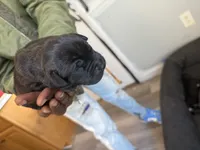 processed/2474895d-5cc5-4e2b-91af-97ff9238bdaf/listing/735b26cc-4c7a-4781-b6a2-6f10ab5ed4df/9512c5dc-b63d-418a-921a-b7dfd99191ef