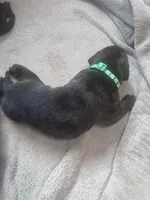 processed/2474895d-5cc5-4e2b-91af-97ff9238bdaf/listing/735b26cc-4c7a-4781-b6a2-6f10ab5ed4df/d130d3a7-4f98-47bb-a4bd-e1a6e2d6d8d4