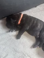 processed/2474895d-5cc5-4e2b-91af-97ff9238bdaf/listing/f2abb458-47a8-4949-9a6f-d52ba1d0dc7e/26121016-f7dd-450b-873b-b0d2fe1323b8