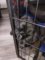 processed/2474895d-5cc5-4e2b-91af-97ff9238bdaf/listing/f2abb458-47a8-4949-9a6f-d52ba1d0dc7e/d2a27270-3634-4c77-b7ad-cbd09291d818