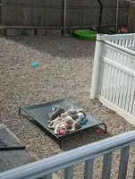 processed/24772b27-e454-4078-9baa-31c568b95da6/facility/63c01776-1969-40d7-978a-0c32c84e60a7