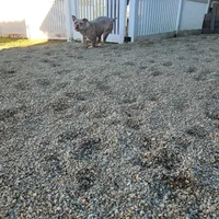 processed/24772b27-e454-4078-9baa-31c568b95da6/facility/86c47f2f-5173-4c65-aabd-8b0e63775b64